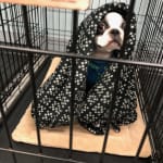 Just a little piece makes happiness