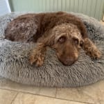 Love these soft gels for my dog!