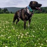 Helpful medication for epilepsy