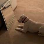 Safe for sensitive skin