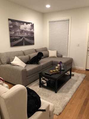Great couch!