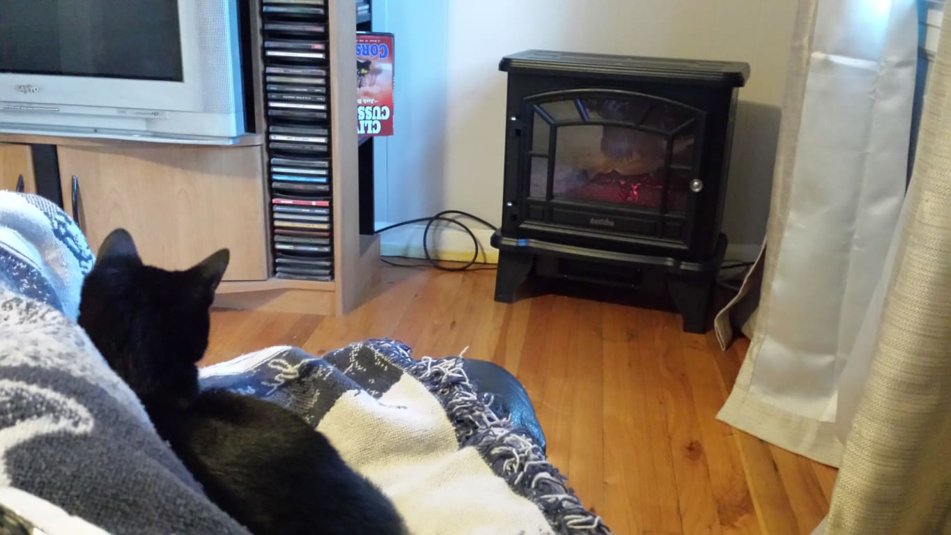 Duraflame Dfs 550 21 Electric Stove Blk