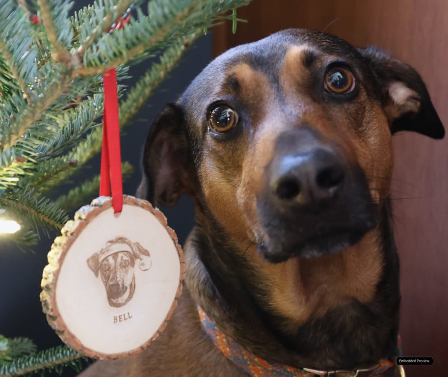 Personalized Pet Portrait Wood Slice Ornament from Uncommon Goods. Customer submitted image.