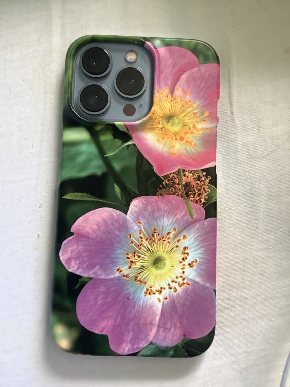 Phone cover