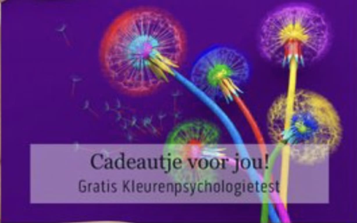 Flitsend Visitekaartje
