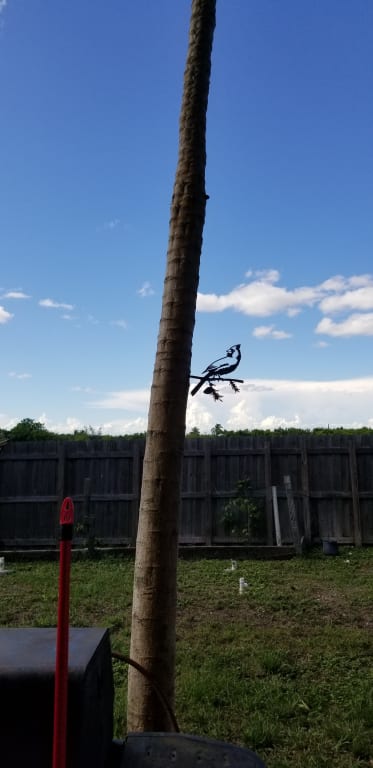 Metal Bird Sculptures from Uncommon Goods. Customer submitted image.