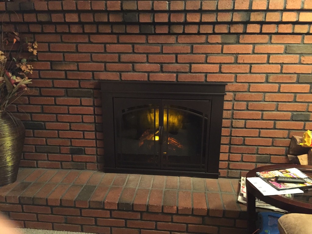 Dimplex 28 Premium Electric Fireplace Log Set Dlg1058 Dlg 1058 Dimplex 28 Premium Electric Fireplace Log Set Dlg1058 Dlg 1058