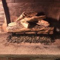 Logs placed and ready to fire it up!