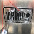 Weber Sign and ring around handle is coroding