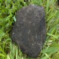 ROCK, and not the only one found