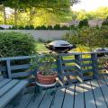 New Weber