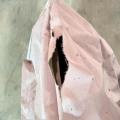 Dry Rot