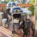 It's bigger than you think. Plenty of room for long racks of ribs, large turkeys, etc.