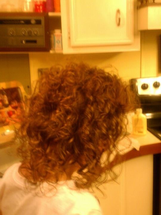 Kid's Quad Pack Mixed Chicks A Curly Revolution