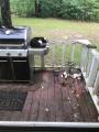 Just a picture of my cats and the grill.