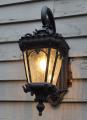 Light