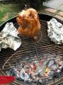 Beer can chicken with sides  in foil.