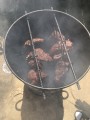 Ribs