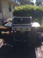Ready to grill!