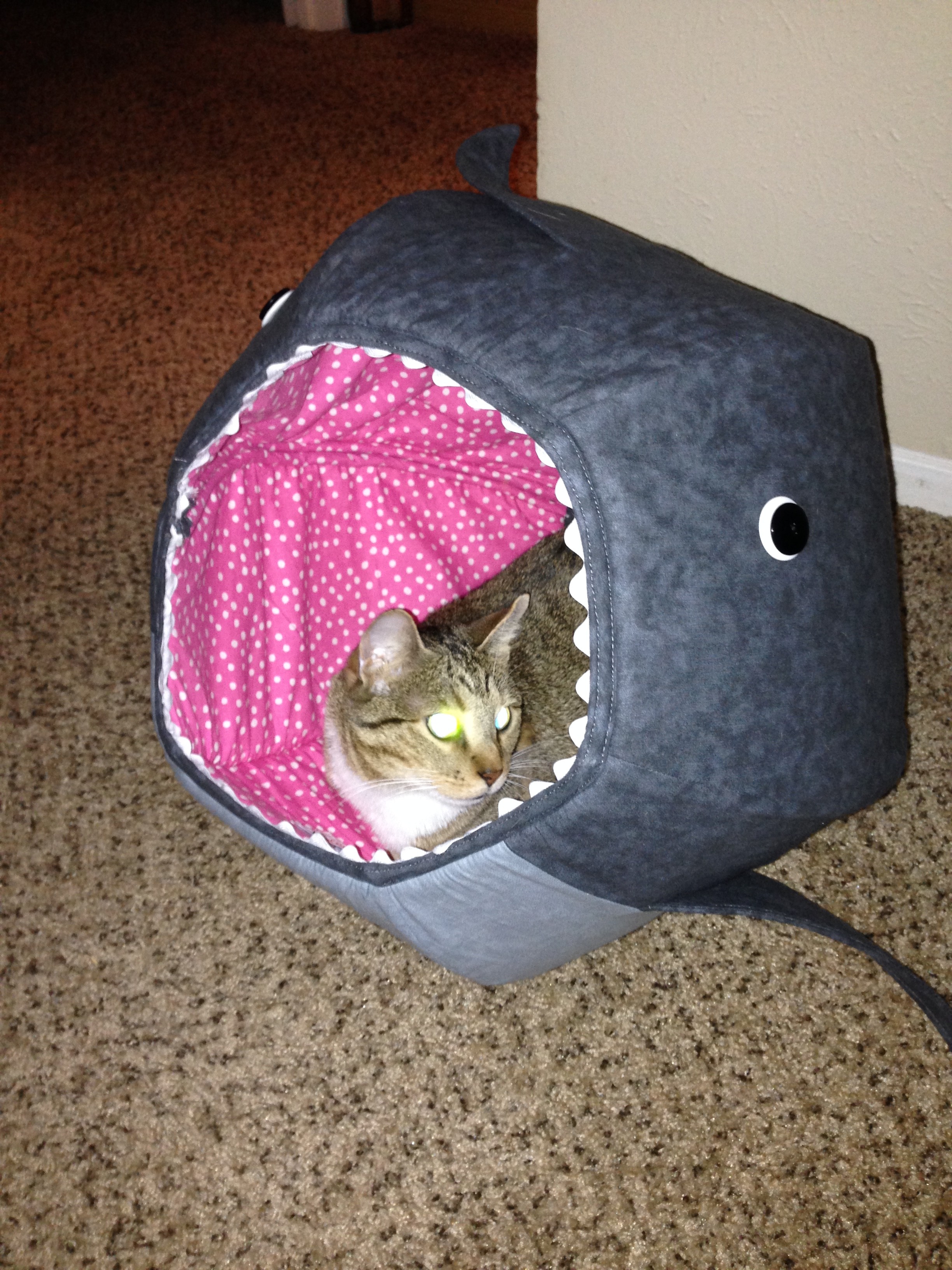 Shark Cat Bed cat bed, shark decor, handmade Goods