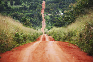 Coordinated the Project Document and CEO endorsement request development for a $7m Ecosystem-based Adaptation project,...