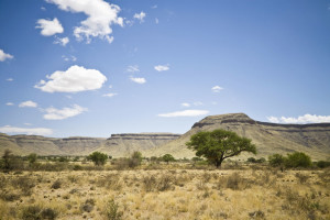 Commissioned to advise the development of IUCN’s first project as a GEF Implementing Agency, focused...