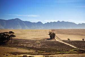 Stage 1: Brought on to advise and guide the development of a Project Identification Form...