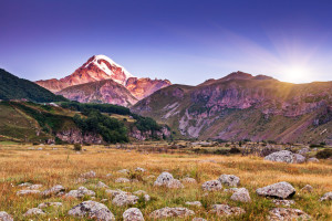 Supporting UNEP and the Government of Georgia to submit a full-compliant Medium-Sized project (<$1M) request...