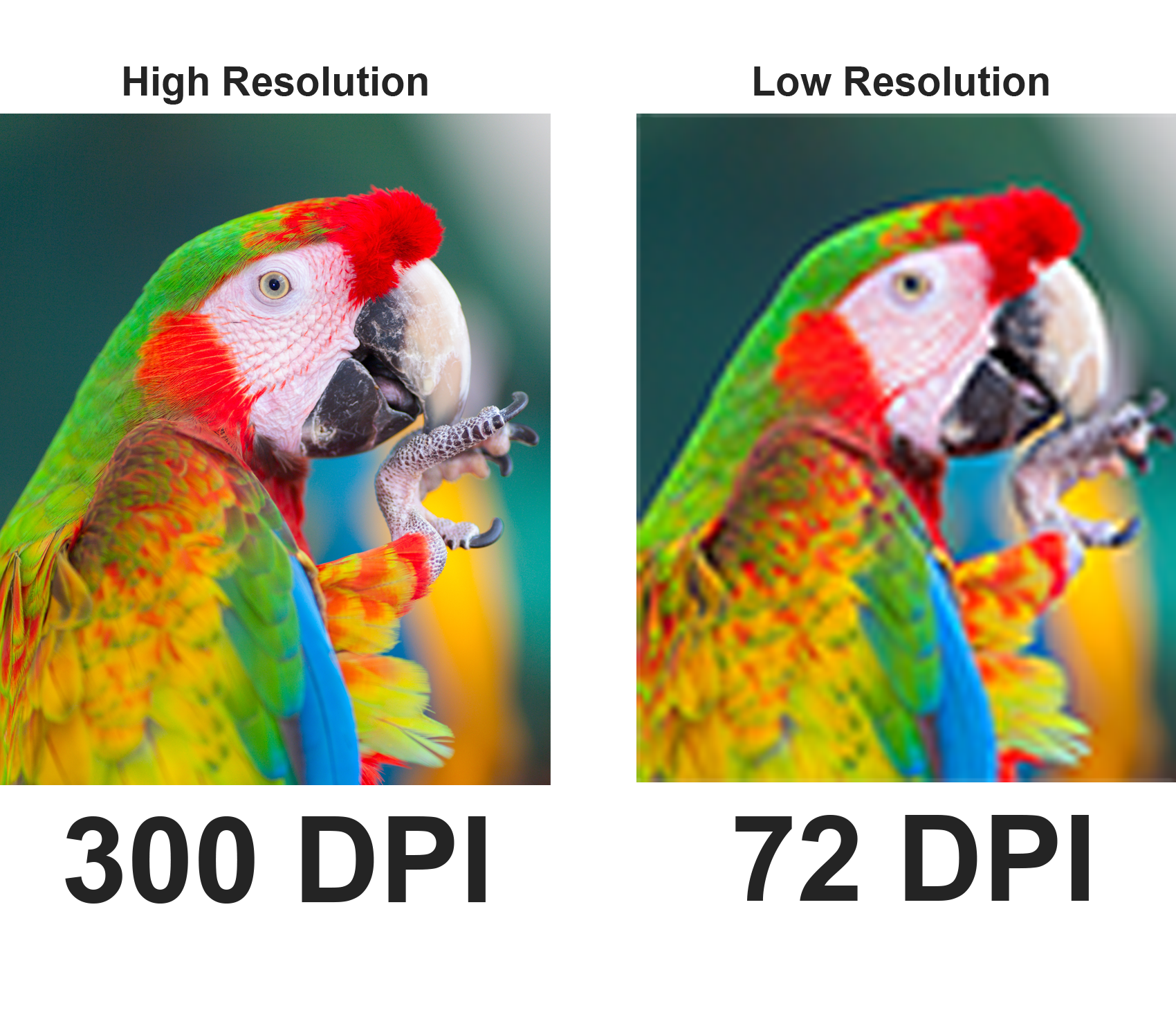 Image Resolution