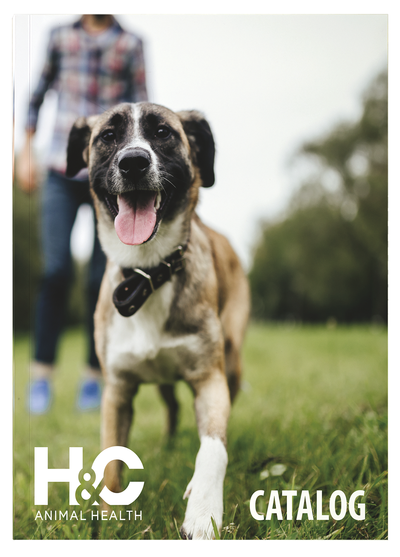 Pet Product Catalog