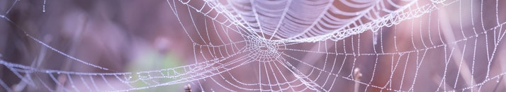 Decorate For Halloween Without Scaring Your Wallet with Overstock