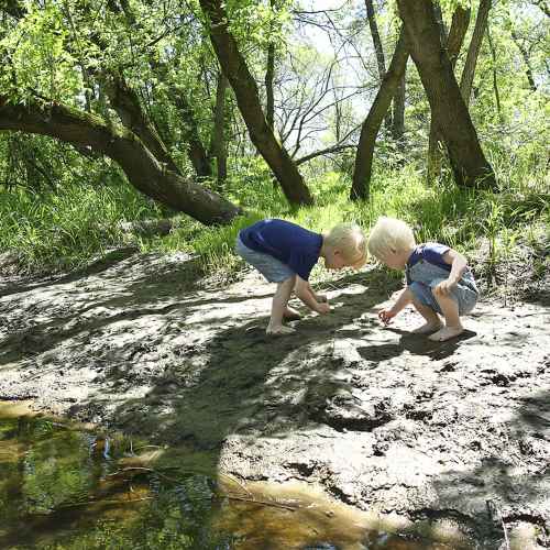 Let your children play in the mud