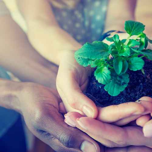 How to boost your wellbeing – the benefits of a growth mindset
