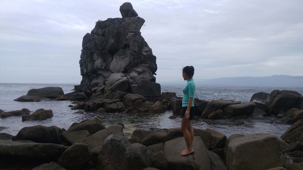 Apo island sea turtle 2018-5