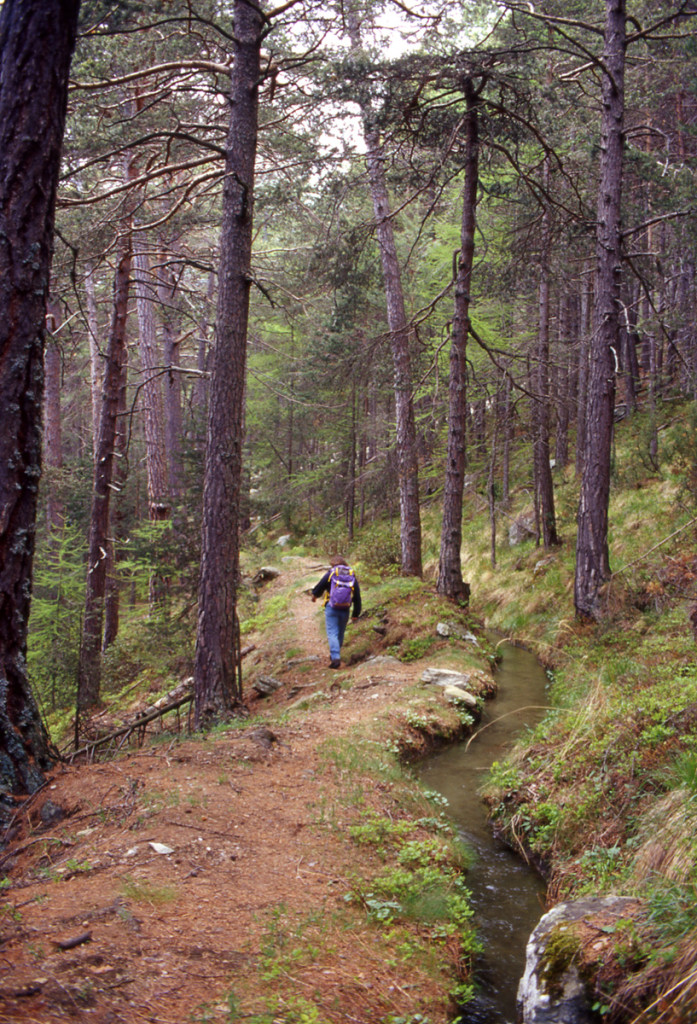 5. Un tratto naturale di ru valdostano: il Ru Chevrère et Montjovet nei pressi di Hérin (Champdepraz).