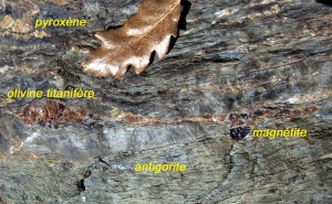 Minerali oceanici nella peridotite serpentinizzata, in particolare antigorite (serpentino) e magnetite, nonché clinopirosseno (bianco) e olivina titanifera (rossa).