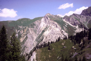 Falde alpine: le Brecce di Tarantasia (Tête de la Tronche, Col Sapin) Falde alpine: le Brecce di Tarantasia (Tête de la Tronche, Col Sapin)