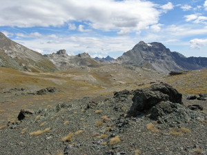 20. Au premier plan un détail de l’affleurement de serpentinites du Combin. Au fond les Cime Bianche et la Roisette.