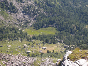 8. Ai piedi del colle, un concentrato di ambienti d’alta quota: pietraie, pascoli, boschi e torbiere.