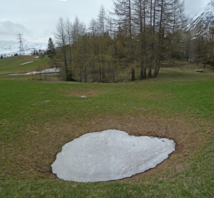 Una conchetta di dissoluzione nel prato, ancora coperta di neve. Sullo sfondo l'inghiottitoio attivo. Una conchetta di dissoluzione nel prato, ancora coperta di neve. Sullo sfondo l'inghiottitoio attivo.