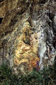 Nodulo a più involucri nelle serpentiniti Nodulo a più involucri nelle serpentiniti