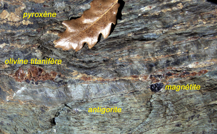 Minerali oceanici nella peridotite serpentinizzata, in particolare antigorite (serpentino) e magnetite, nonché clinopirosseno (bianco) e olivina titanifera (rossa).