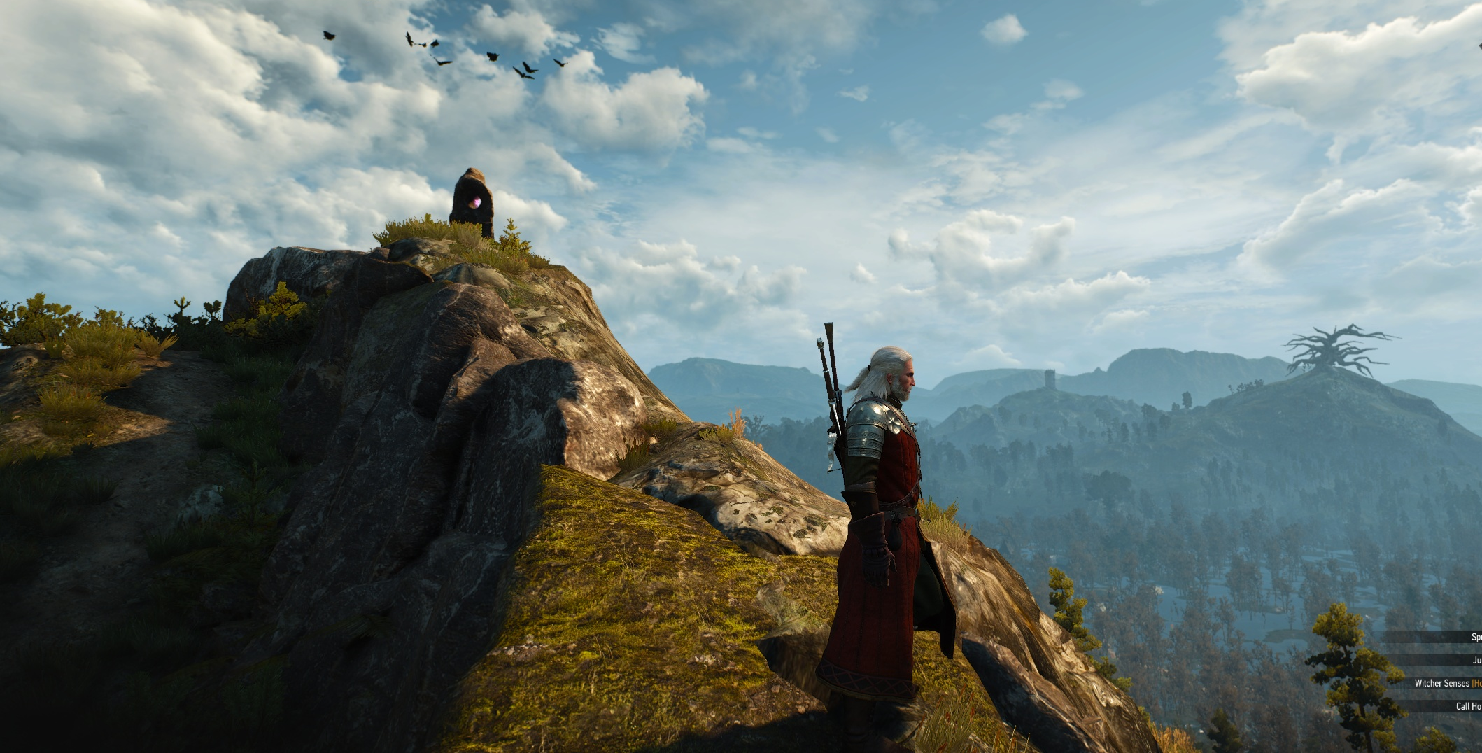 Geralt surveys a landscape in The Witcher 3, where a huge tree is visible on a distant hill