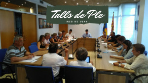 Talls de Ple 12/06/16 (III)