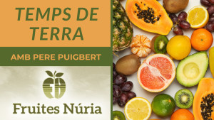 Temps de terra - Fruites de maig