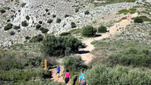 El Parc a la Ràdio - Visitants que rep el Parc Natural