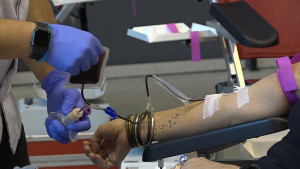 L'Escala se suma la marató de donació de sang