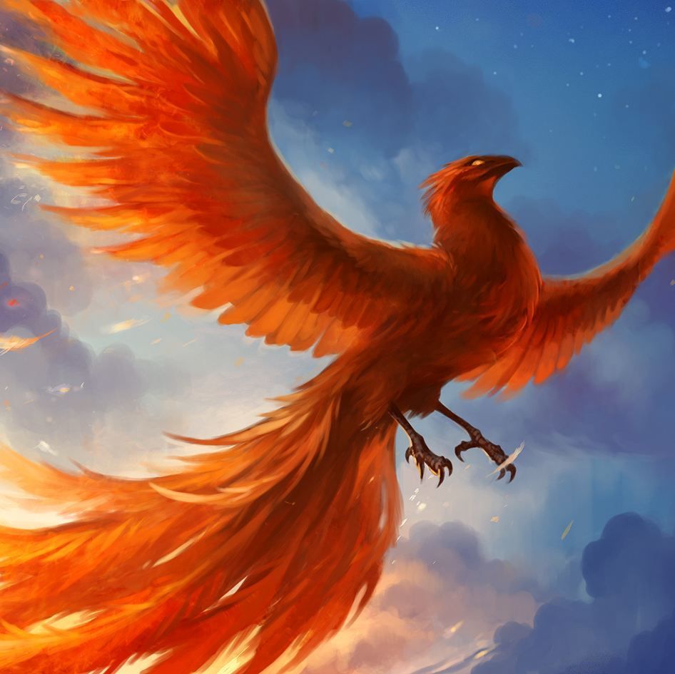 82f13492eac1945293840034716e3737 pheonix