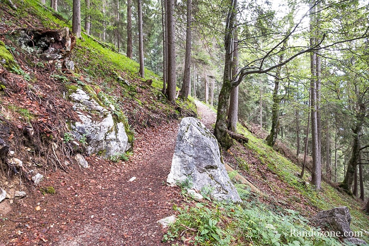 Randonnée au Gehrenspitze : montée dans la forêt