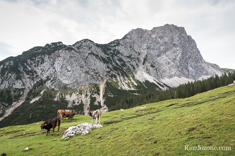 Randonnée au Gehrenspitze : vue sur le sommet